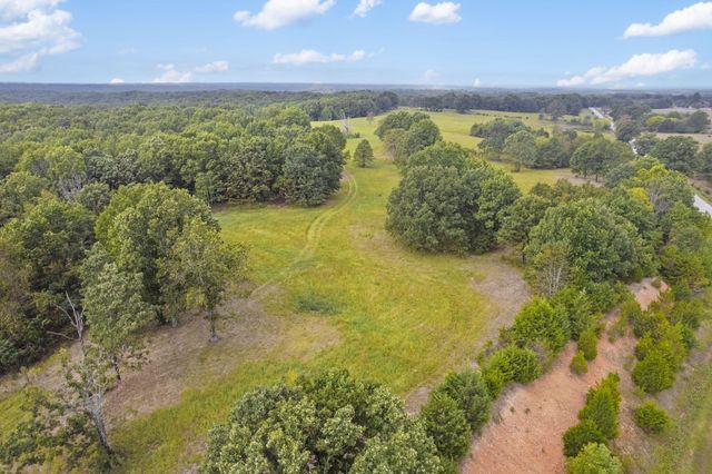 808 Coon Ridge Road, Galena, MO 65656