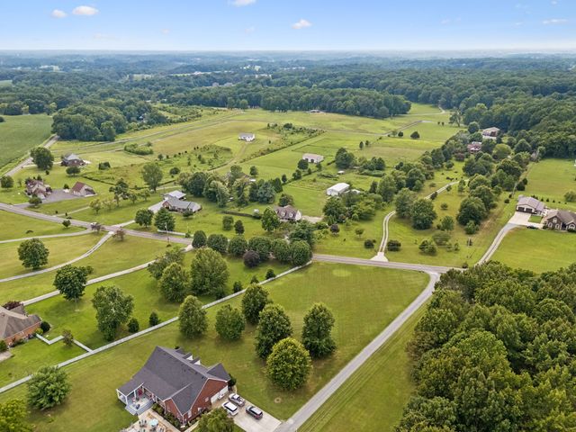 3384 Maxie Jones Rd, Springfield, TN 37172