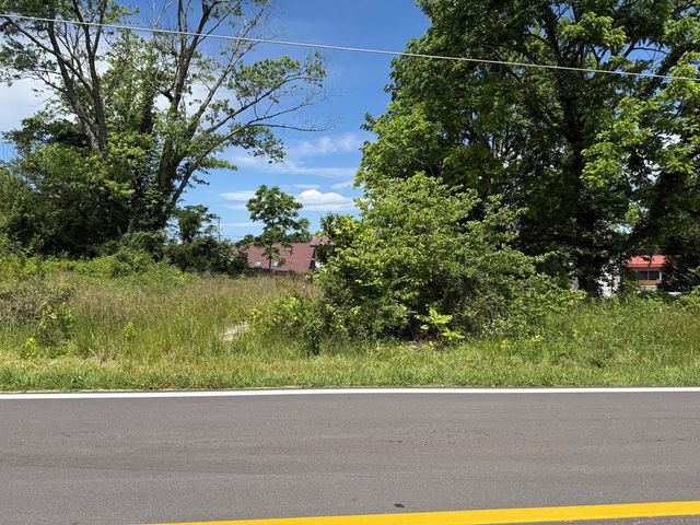 LT 19 E Second Street, Blue Ridge, GA 30513