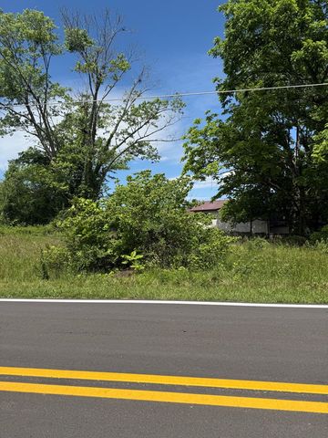 LT 19 E Second Street, Blue Ridge, GA 30513