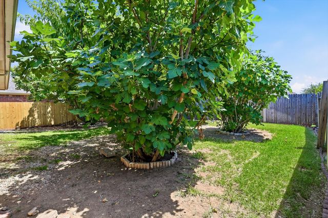 2340 Evening Song Drive, Little Elm, TX 75068
