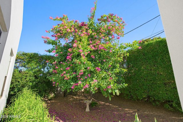 4445 N 29TH Place, Phoenix, AZ 85016