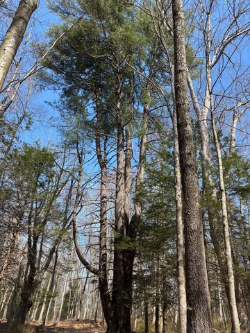 Lot 00 Chalybes Road West, Roxbury, CT 06783