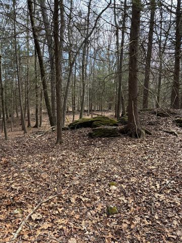 Lot 00 Chalybes Road West, Roxbury, CT 06783