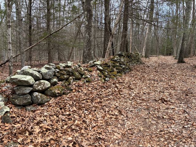 Lot 00 Chalybes Road West, Roxbury, CT 06783