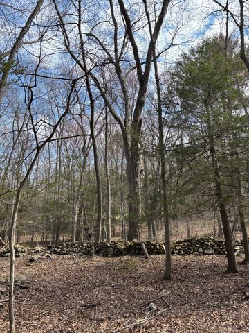 Lot 00 Chalybes Road West, Roxbury, CT 06783