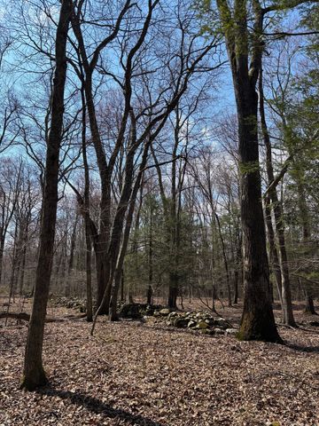 Lot 00 Chalybes Road West, Roxbury, CT 06783