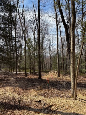 Lot 00 Chalybes Road West, Roxbury, CT 06783