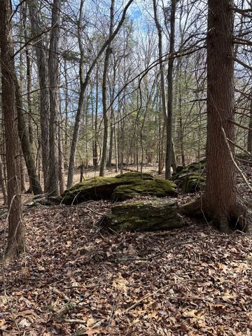 Lot 00 Chalybes Road West, Roxbury, CT 06783