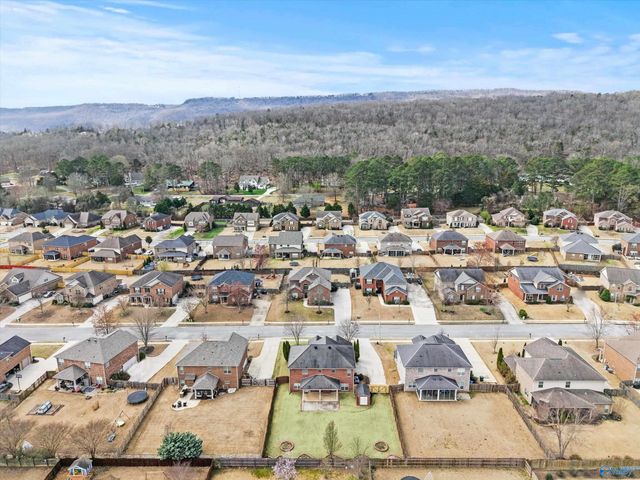 6711 Station View Drive, Owens Cross Roads, AL 35763