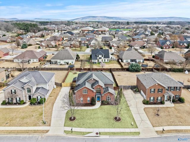 6711 Station View Drive, Owens Cross Roads, AL 35763