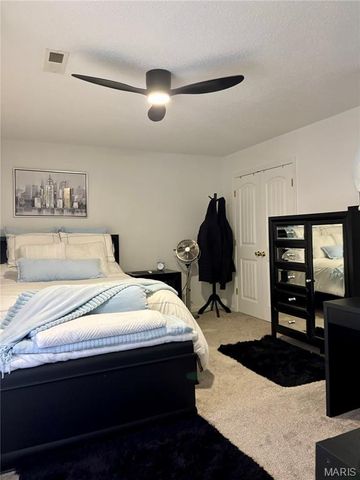 130 Chalet Lane, Bonne Terre, MO 63628