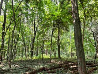 00000 Barbarrah Drive, Bristol, IN 46507