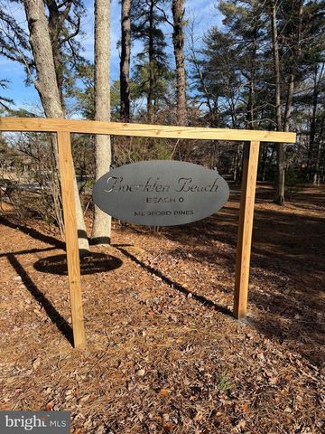 19 BIG LOOK TRL, Medford, NJ 08055