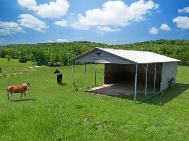 1732 Cedar Creek Road, Vanleer, TN 37181