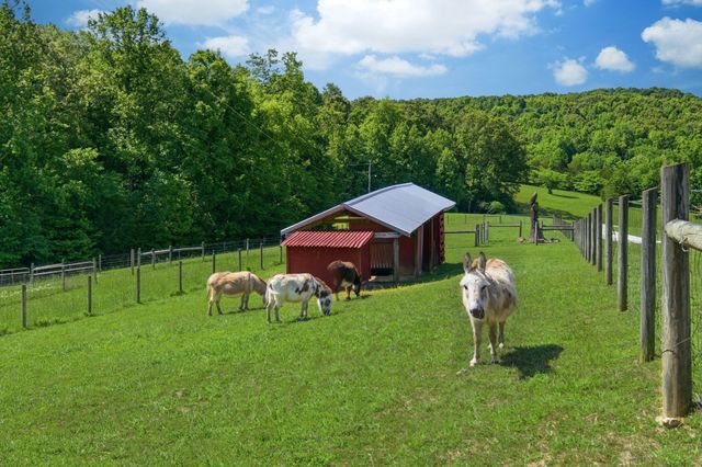 1732 Cedar Creek Road, Vanleer, TN 37181