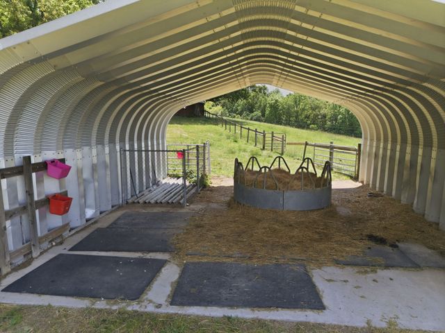 1732 Cedar Creek Road, Vanleer, TN 37181