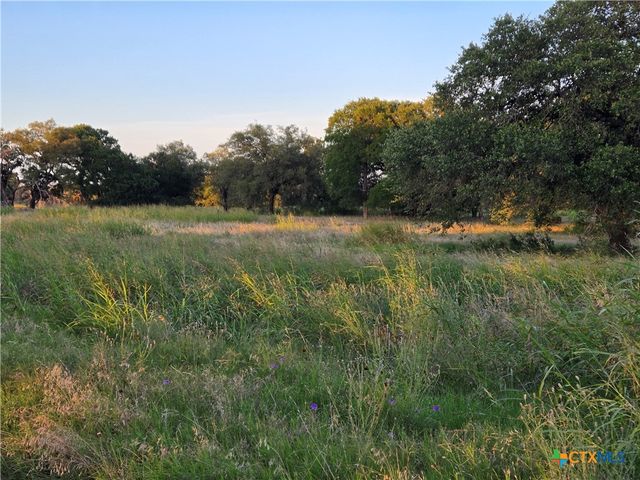 454 Grand Canyon Drive, Oglesby, TX 76561