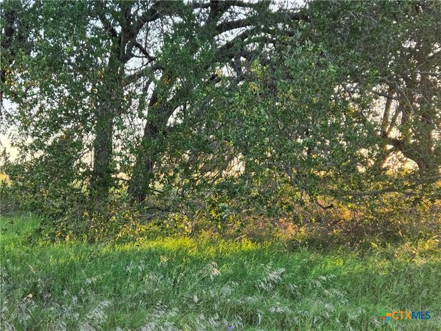 454 Grand Canyon Drive, Oglesby, TX 76561