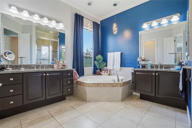 7101 HATPIN LOOP, Wesley Chapel, FL 33545