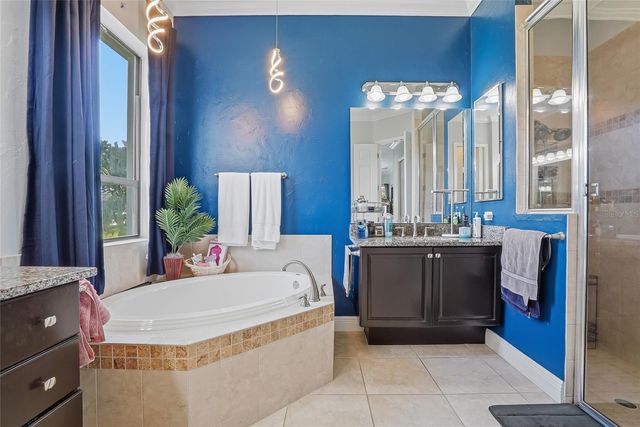 7101 HATPIN LOOP, Wesley Chapel, FL 33545