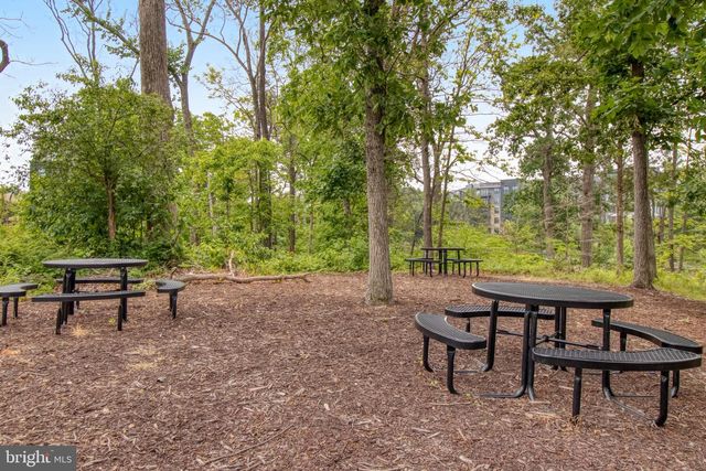 4810 GARDEN VIEW LN, Chantilly, VA 20151