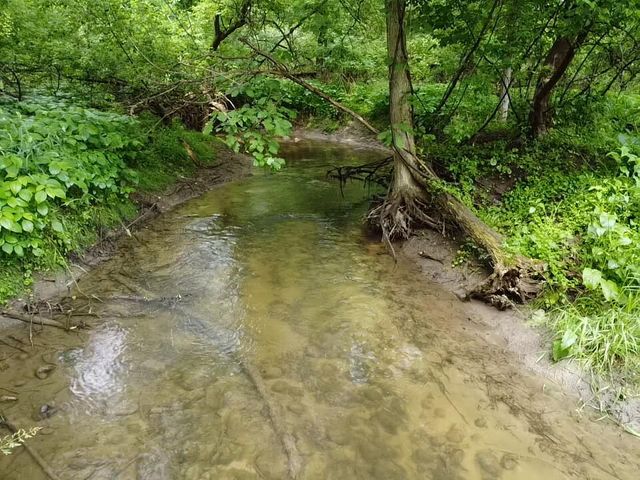 VL Hough Road, Almont, MI 48003