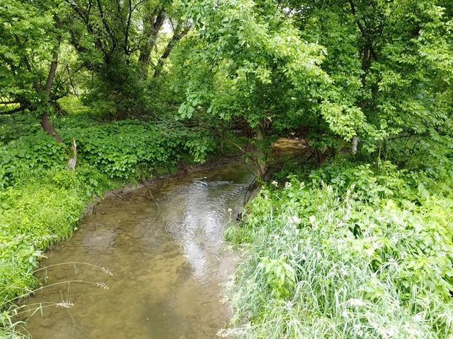 VL Hough Road, Almont, MI 48003