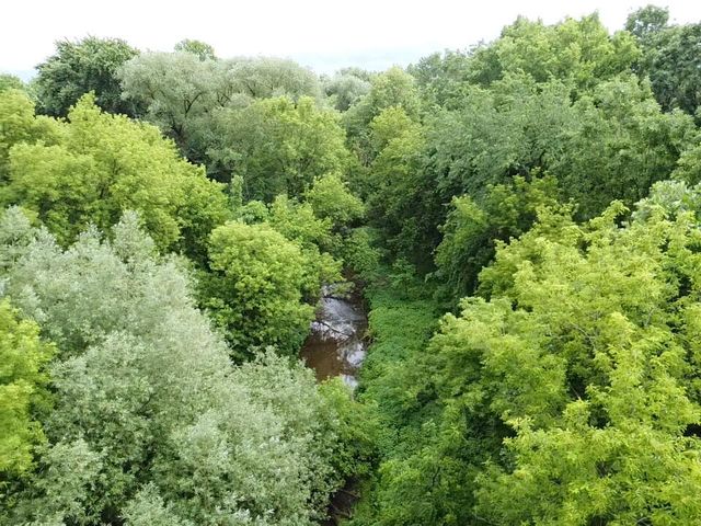 VL Hough Road, Almont, MI 48003