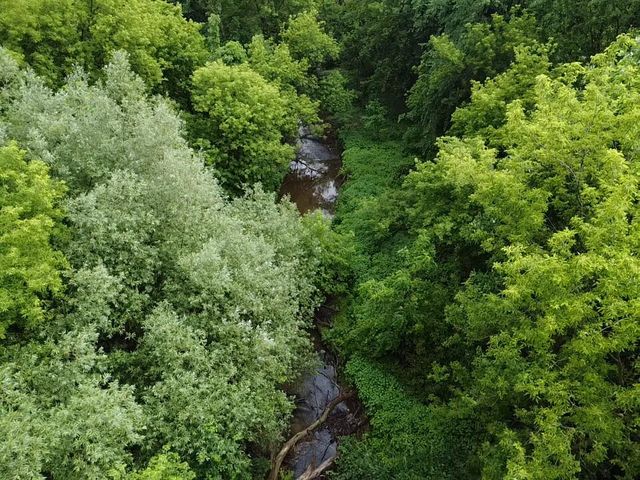 VL Hough Road, Almont, MI 48003