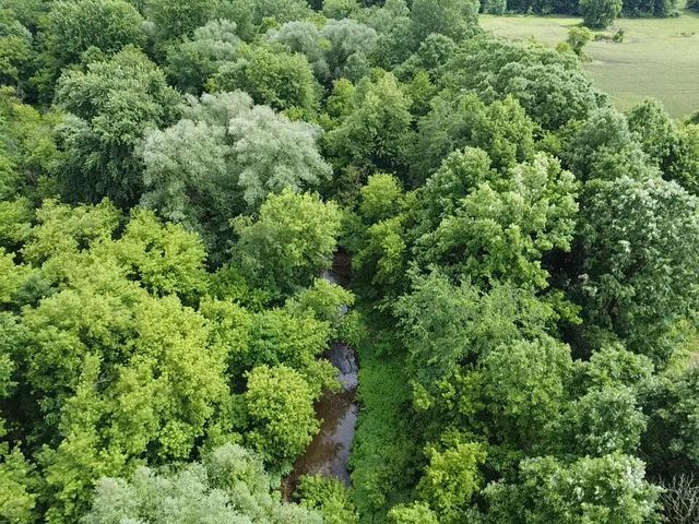 VL Hough Road, Almont, MI 48003