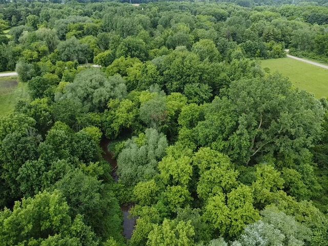 VL Hough Road, Almont, MI 48003