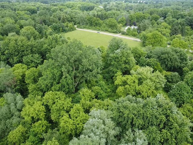 VL Hough Road, Almont, MI 48003