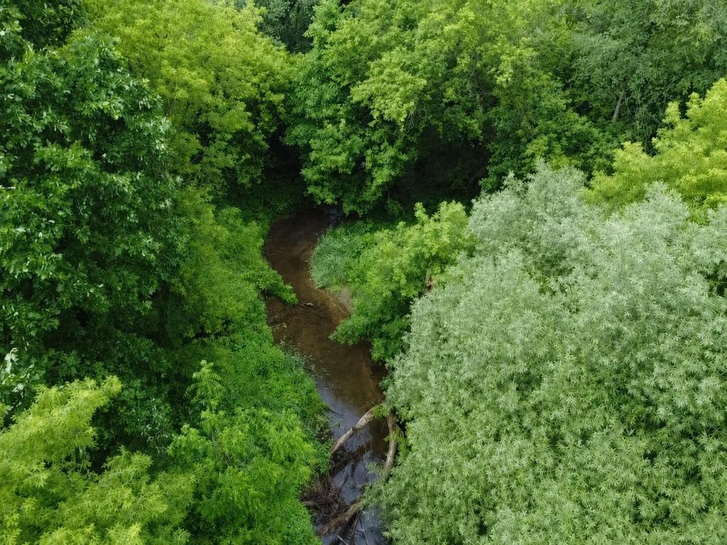 VL Hough Road, Almont, MI 48003
