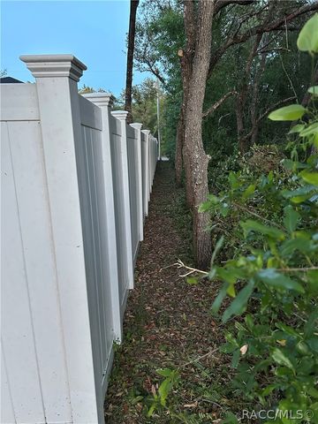 2980 E Hester Street, Inverness, FL 34453