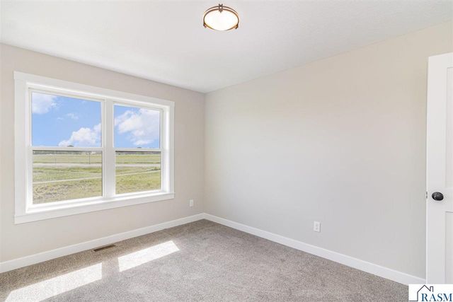 811 Viburnum Street, Belle Plaine, MN 56011