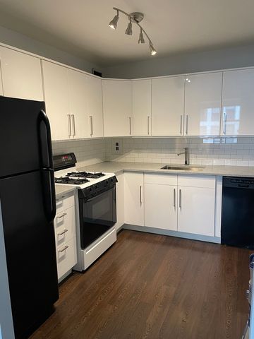253 E Delaware Place 13B, Chicago, IL 60611