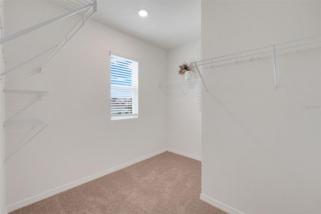 3615 SALVIA COURT, Tavares, FL 32778