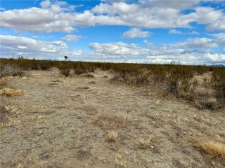 31005410 4 Dos Palmas, Pinon Hills, CA 92372