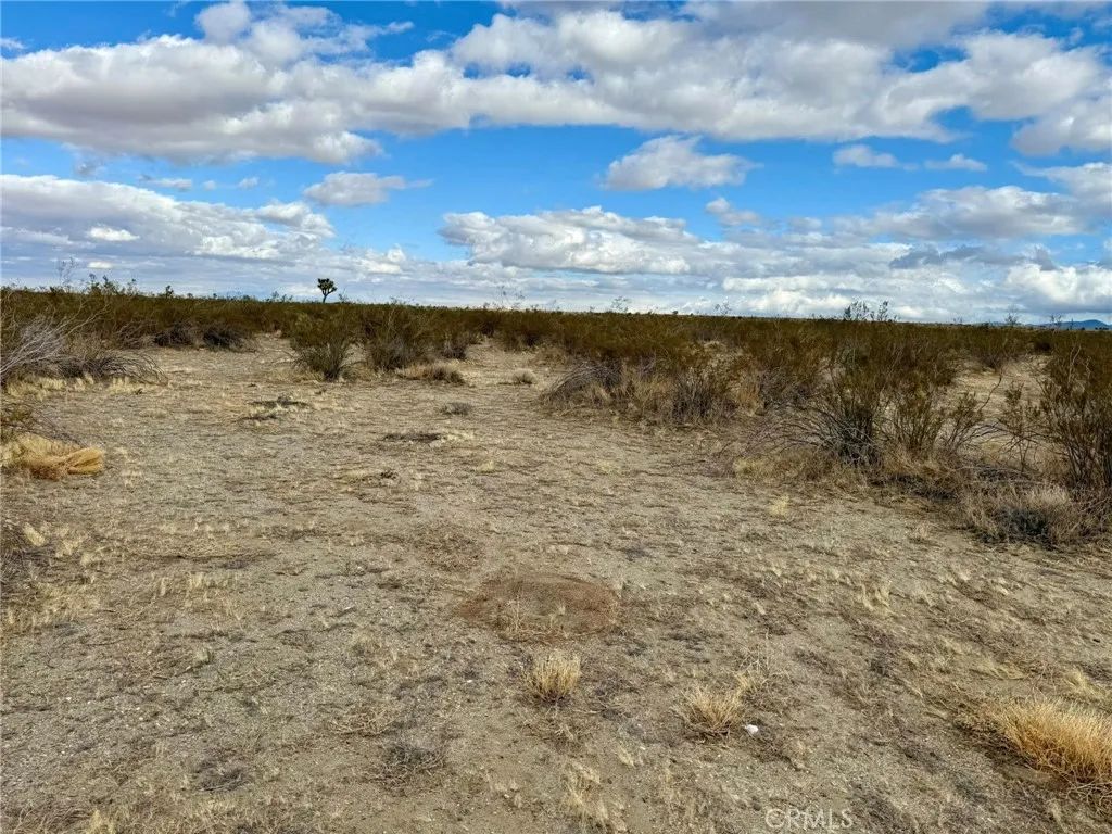 31005410 4 Dos Palmas, Pinon Hills, CA 92372