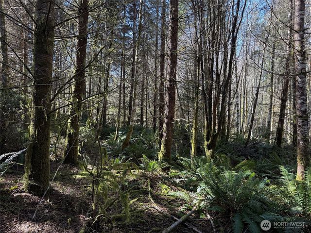 1 XX E Case View Place, Shelton, WA 98584