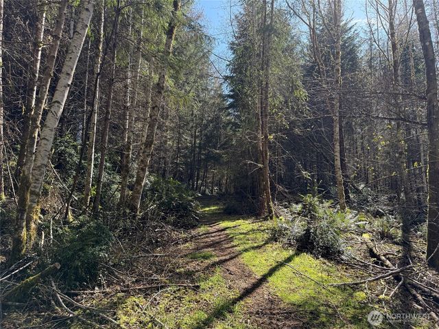 1 XX E Case View Place, Shelton, WA 98584