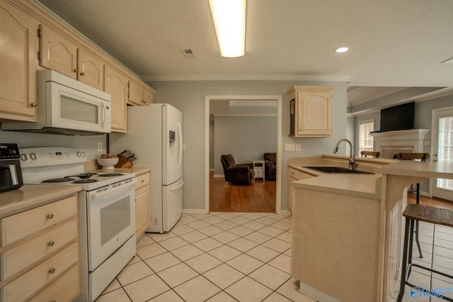 1404 Lake Pointe Drive SW, Decatur, AL 35603