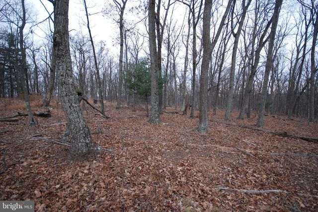 LOT 21 GOLD NUGGET RD, Augusta, WV 26704