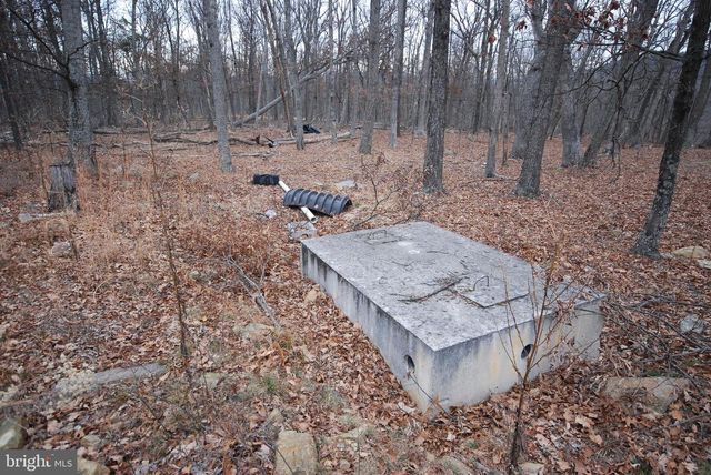 LOT 21 GOLD NUGGET RD, Augusta, WV 26704