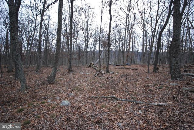 LOT 21 GOLD NUGGET RD, Augusta, WV 26704