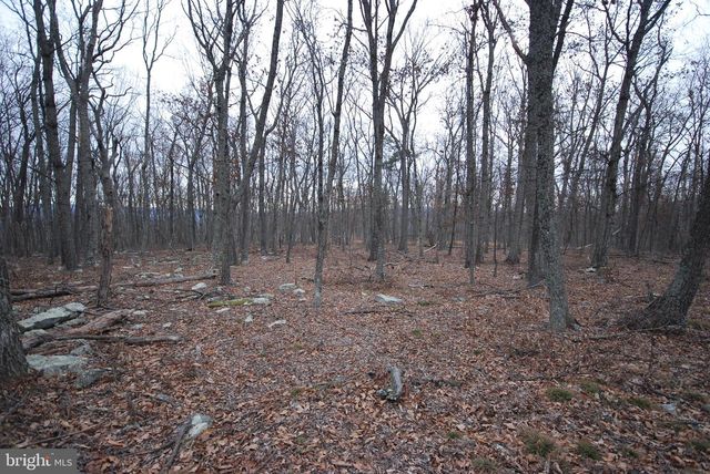 LOT 21 GOLD NUGGET RD, Augusta, WV 26704