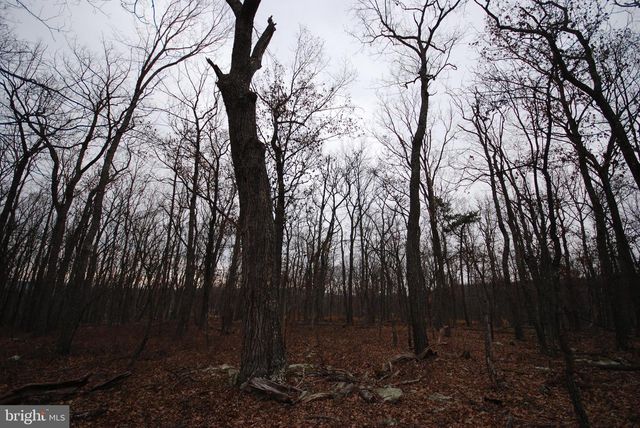 LOT 21 GOLD NUGGET RD, Augusta, WV 26704