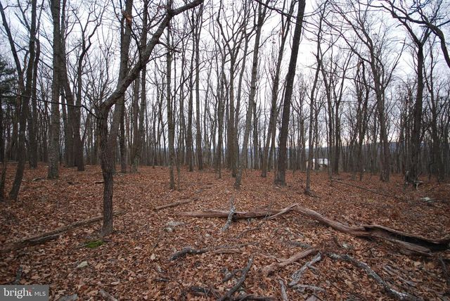 LOT 21 GOLD NUGGET RD, Augusta, WV 26704