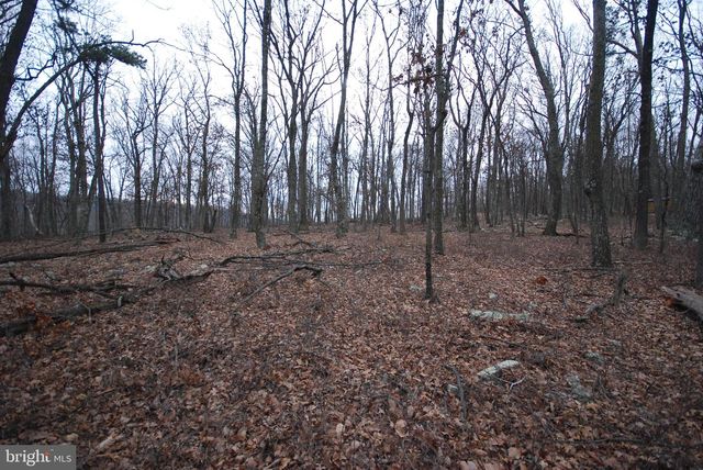 LOT 21 GOLD NUGGET RD, Augusta, WV 26704